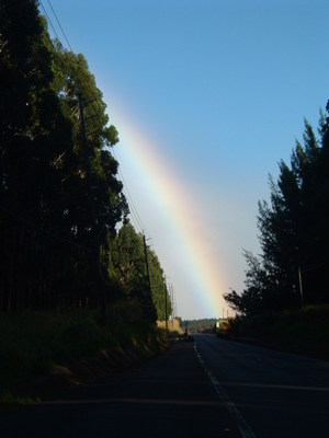 Dscf0131