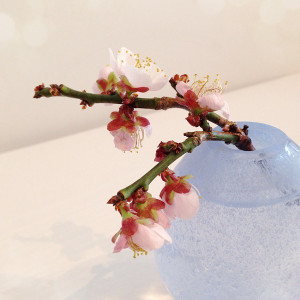 Image_4